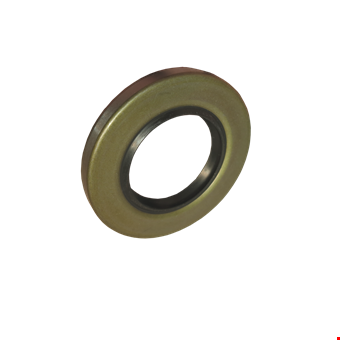 Sealing Ring
