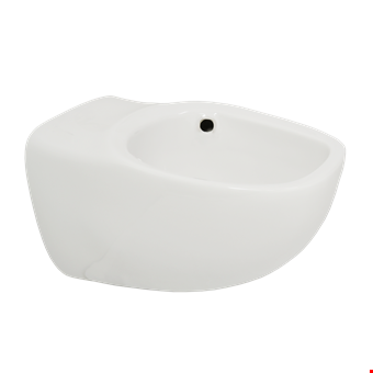 Toilet Bowl JETS Pearl Wall