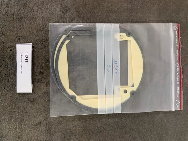 Gasket for electronic unit