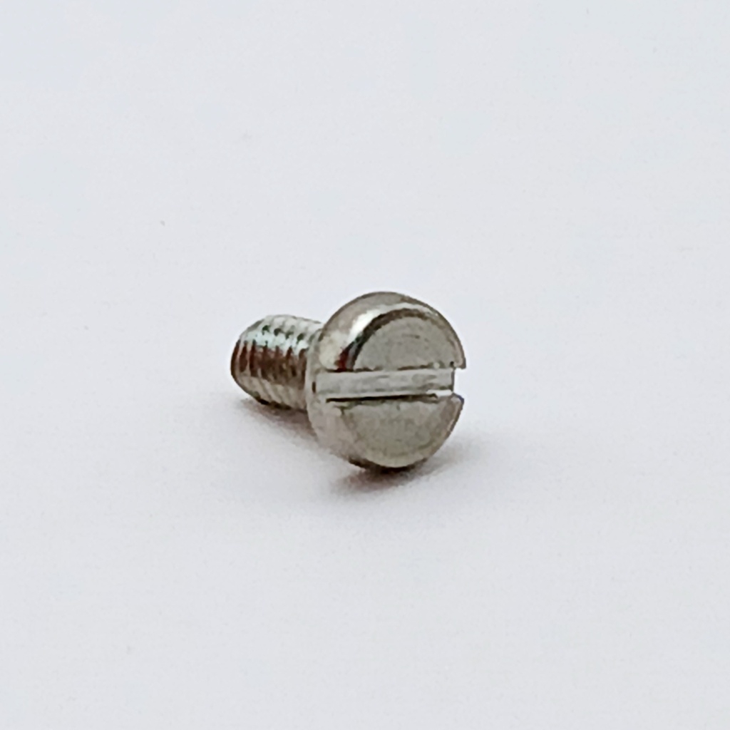 Slotted cheese head mach. screw M2x4