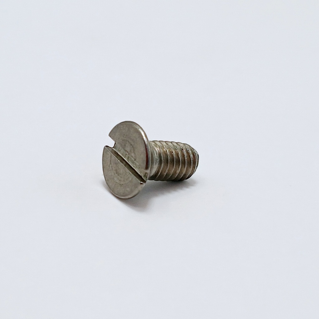 Slotted flat head screw M2x10