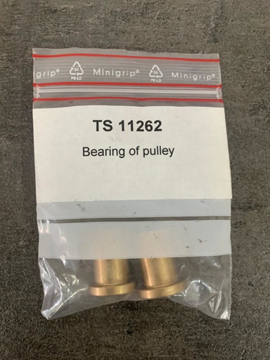 [TS 11262] Bearing of pulley